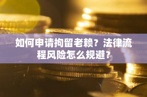 武汉如何申请拘留老赖？法律流程风险怎么规避？