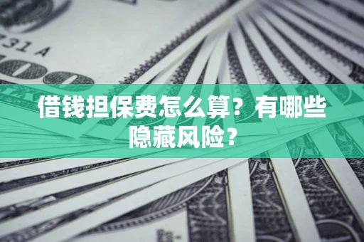 武汉借钱担保费怎么算？有哪些隐藏风险？