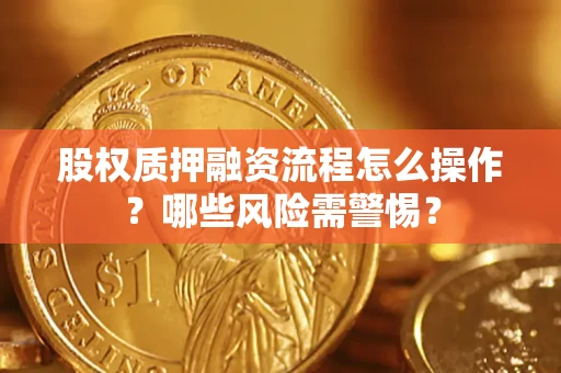 武汉股权质押融资流程怎么操作？哪些风险需警惕？