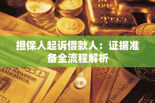 武汉担保人起诉借款人：证据准备全流程解析