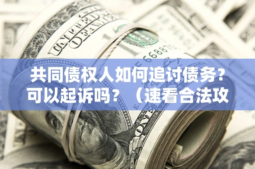 武汉共同债权人如何追讨债务？可以起诉吗？（速看合法攻略）