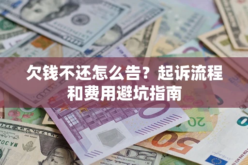 武汉欠钱不还怎么告？起诉流程和费用避坑指南