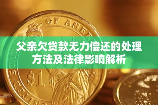 武汉父亲欠贷款无力偿还的处理方法及法律影响解析