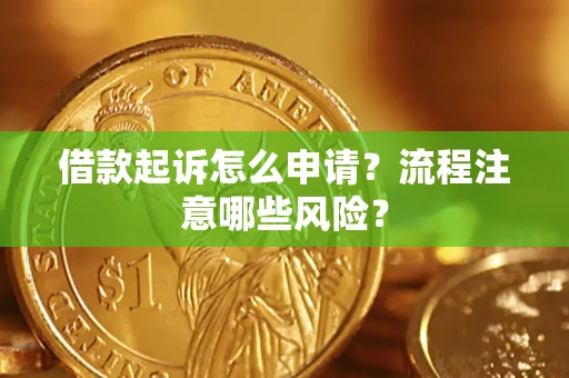武汉借款起诉怎么申请？流程注意哪些风险？