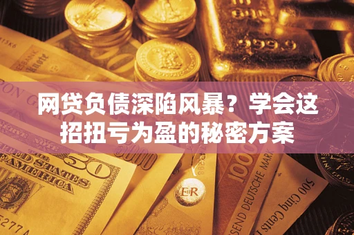 武汉网贷负债深陷风暴？学会这招扭亏为盈的秘密方案