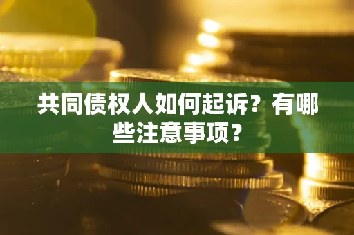 武汉共同债权人如何起诉？有哪些注意事项？