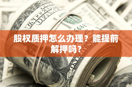 武汉股权质押怎么办理？能提前解押吗？