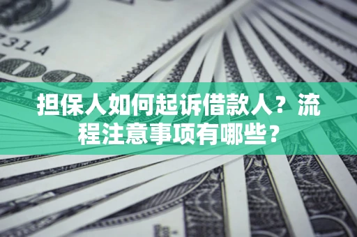 武汉担保人如何起诉借款人？流程注意事项有哪些？